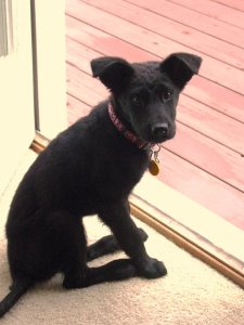 26402_433657032066_1074825_n