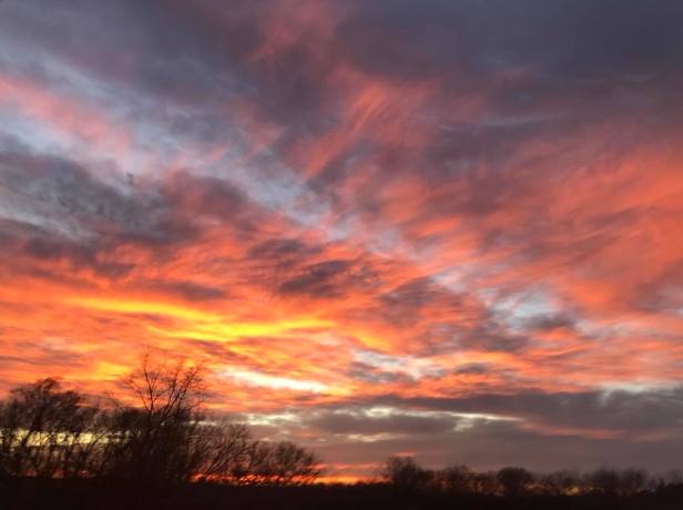 26805113_10156963813972067_5458760949873592791_n