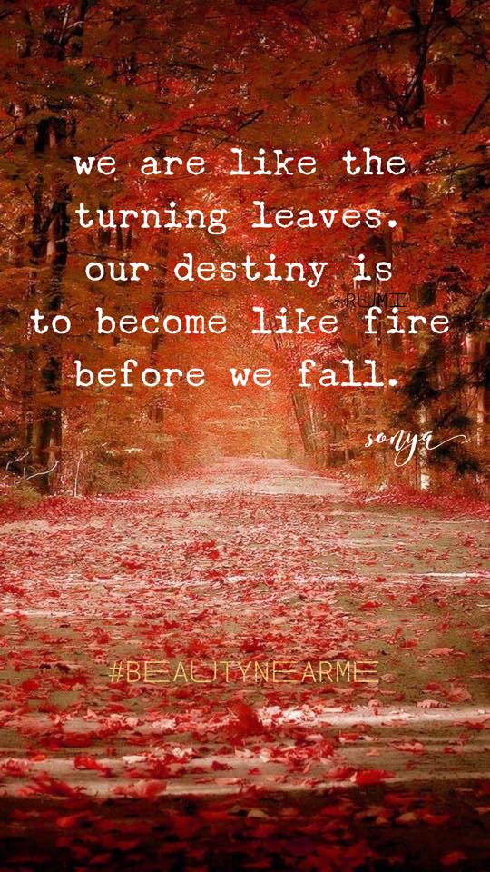 weareliketheturningleaves