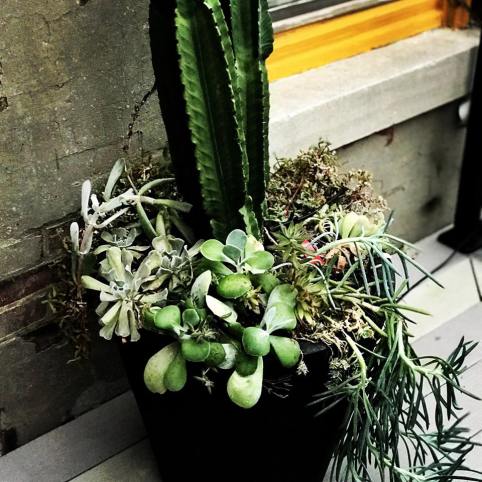 48415479_10158012586702067_3970860929175781376_n